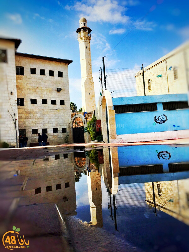 dawry 3ola schooal (11).jpg